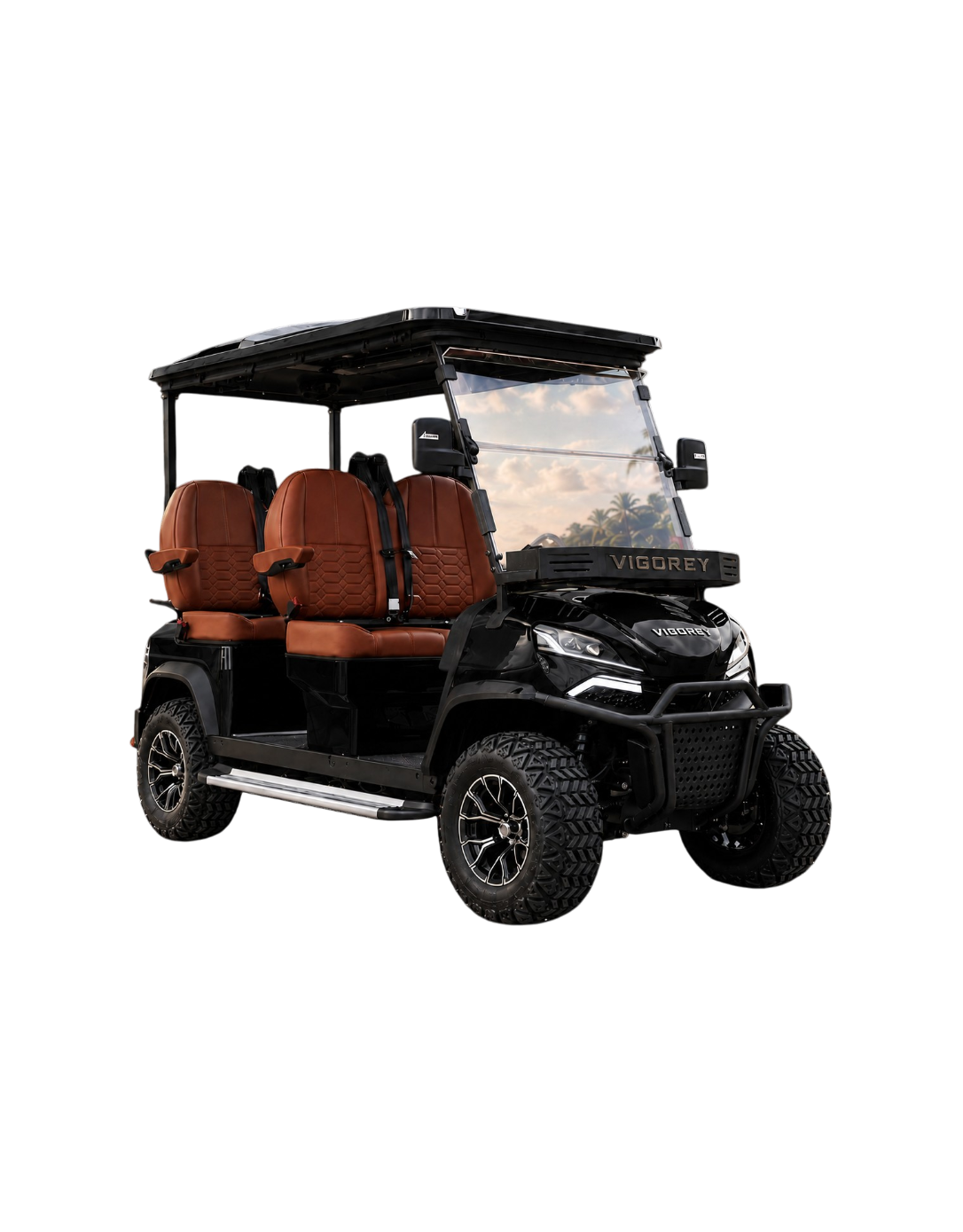 Black Vigorey Golf Car