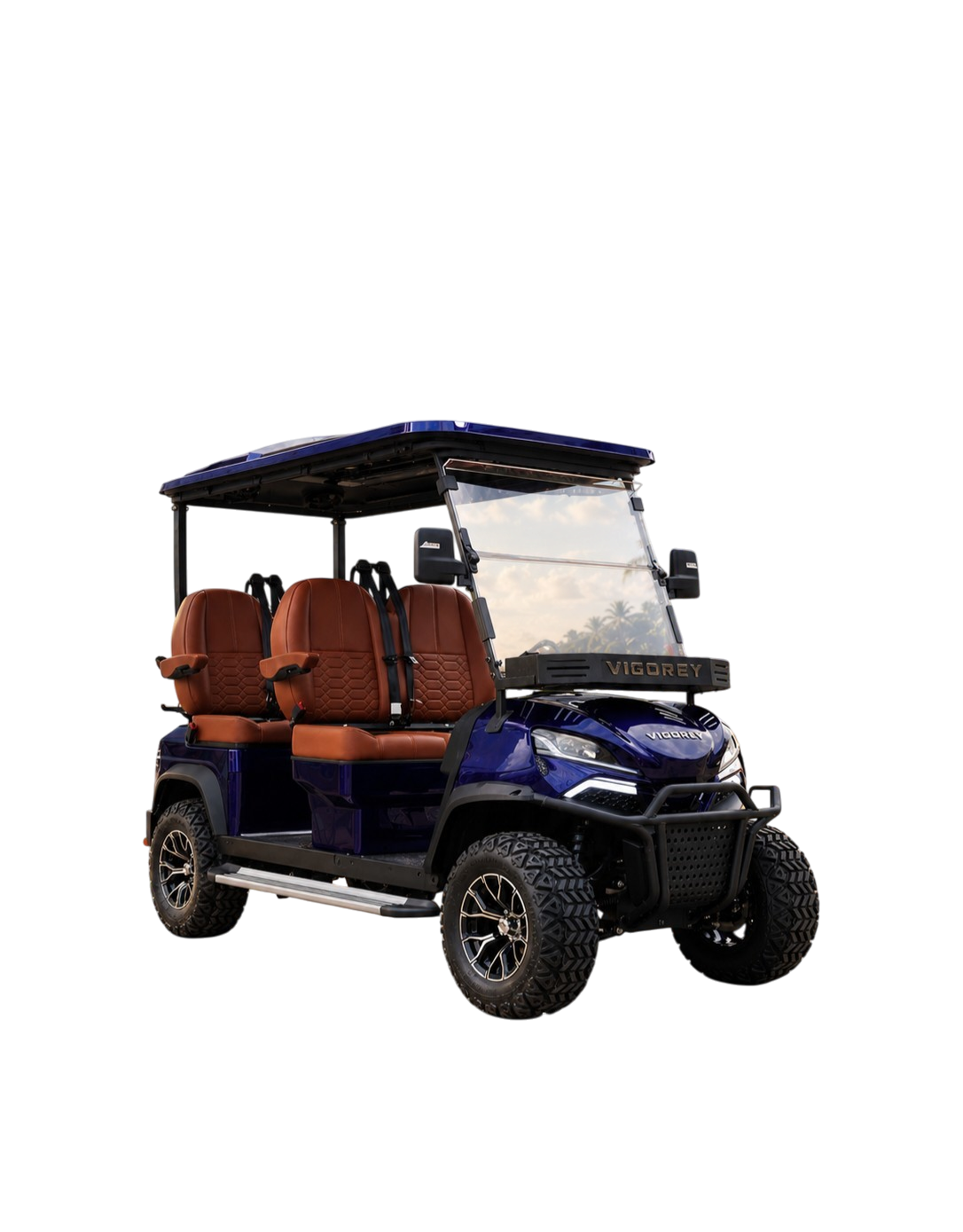 Blue Vigorey Golf Car