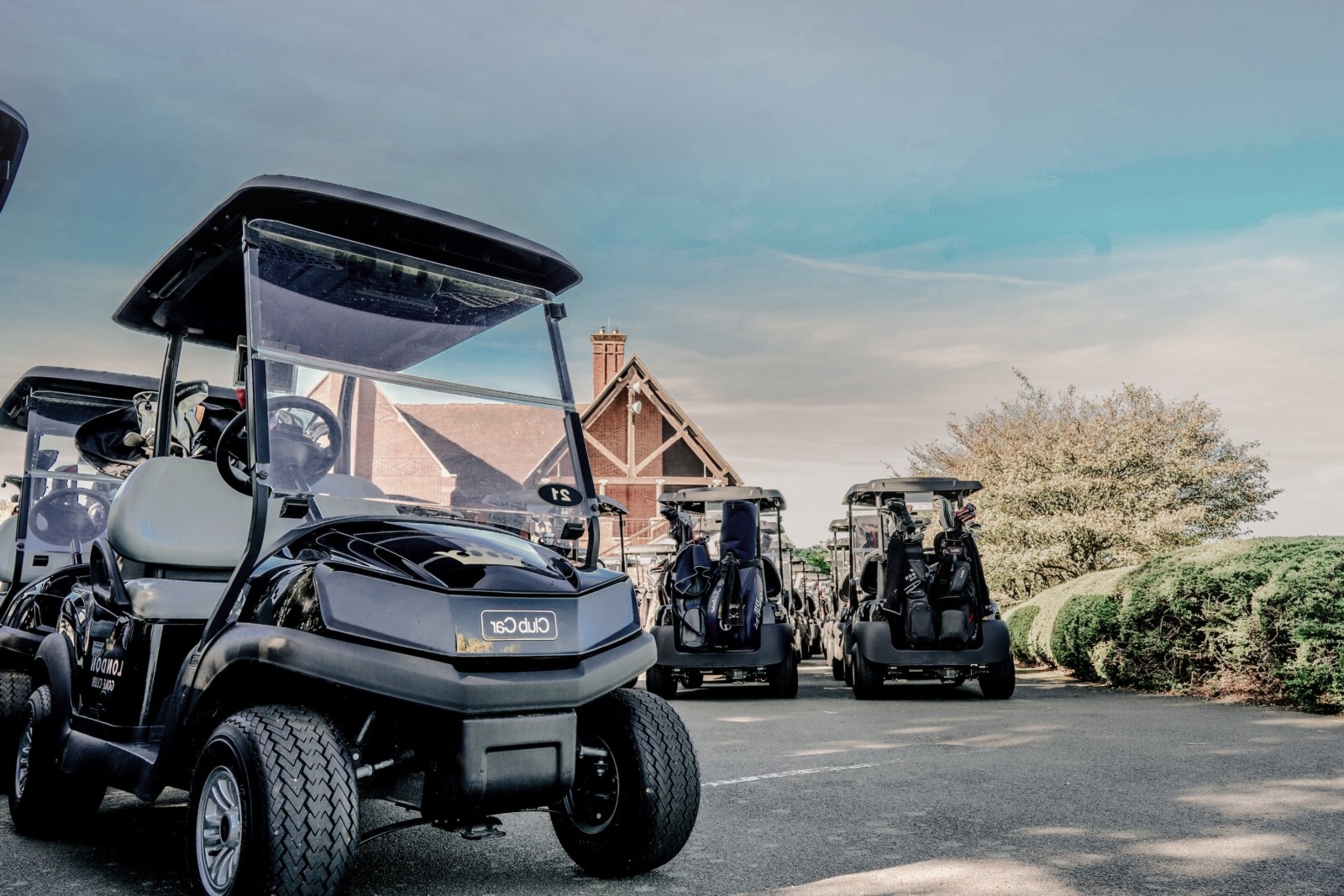19-buggies 2